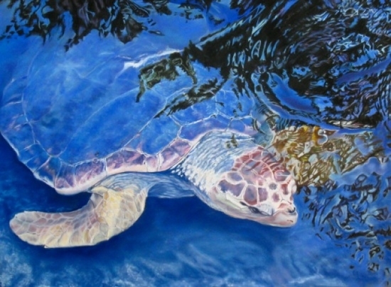 SEA TURTLE, PASTEL, 20 X 28