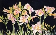 DAY LILIES, PASTEL 18 X 24