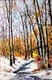 EARLY SNOW, ACRYLIC, 24 X 16,